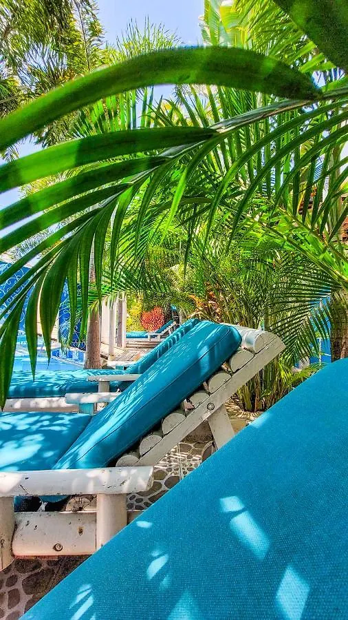 Hotel Raices De La Guajira Santa Marta   Santa Marta (Magdalena)